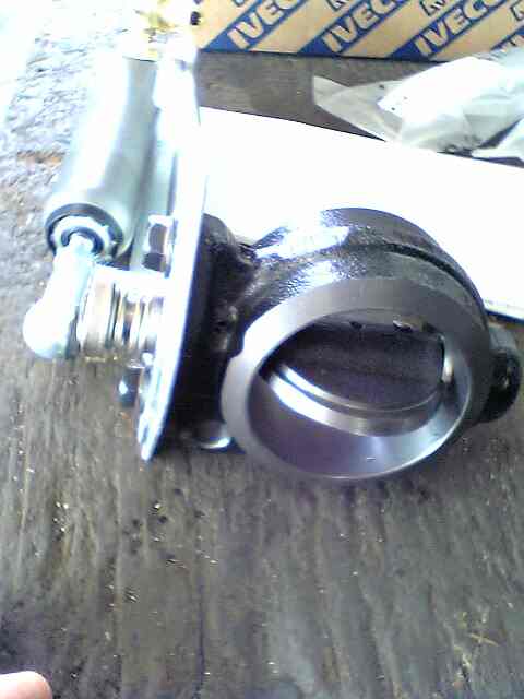 [Linked Image]